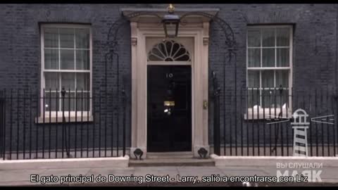 El gato principal de Downing Street, Larry, salió a encontrarse con Liz Truss. Los periodistas ya