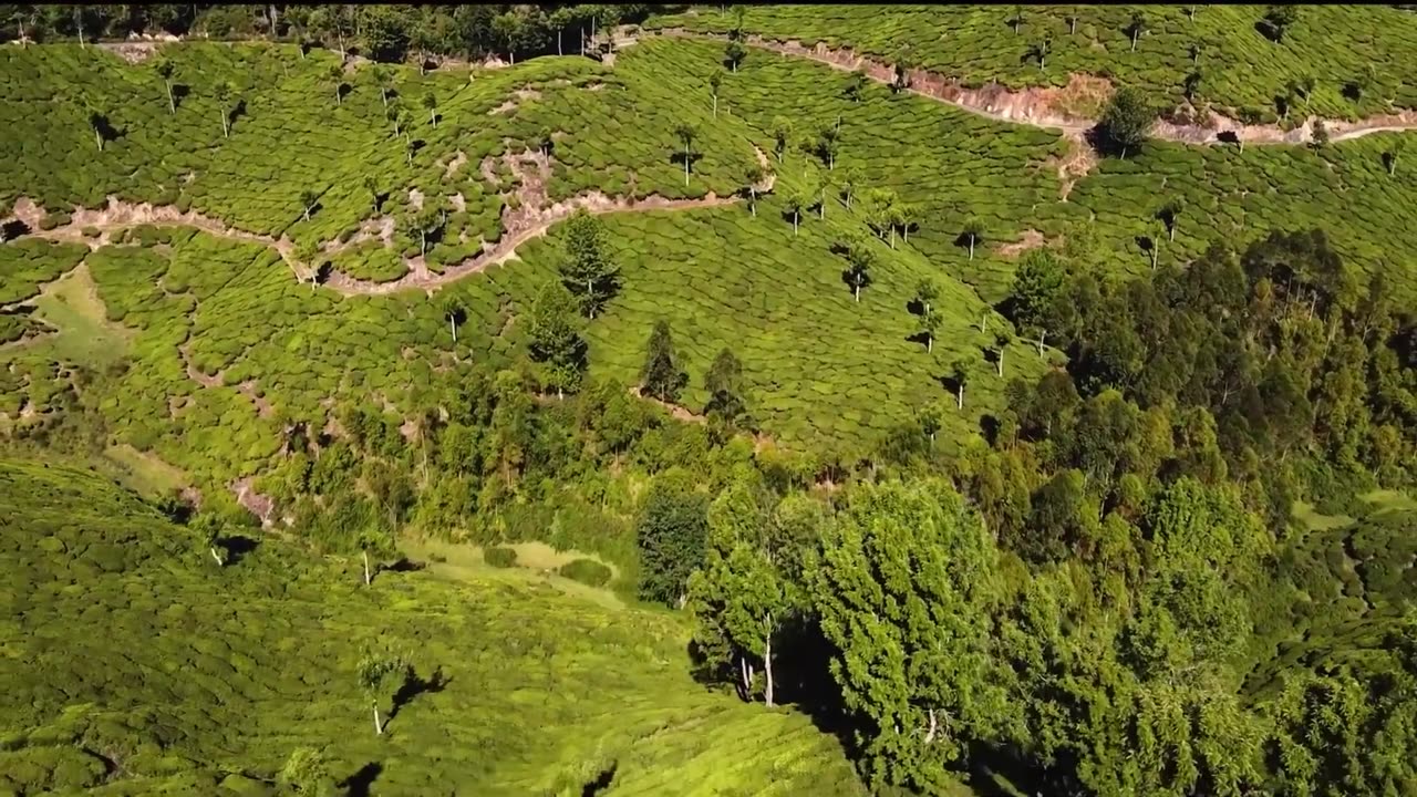 Munnar