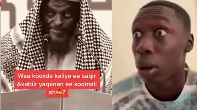 tiktokdownload.online_1668371521191 (