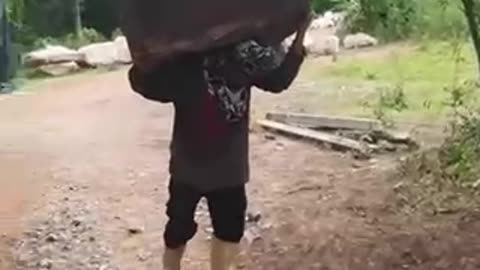 When you think you have seen it all