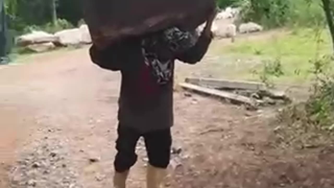 When you think you have seen it all