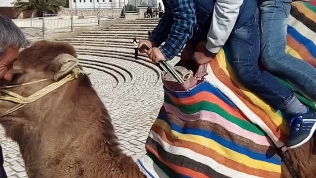 wonderful trip riding a camel