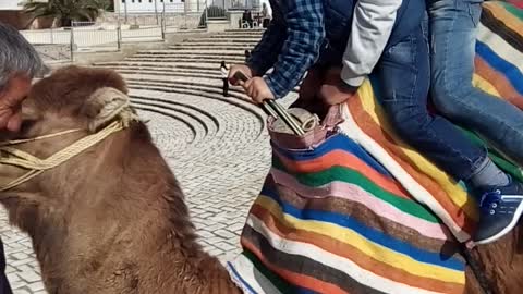 wonderful trip riding a camel
