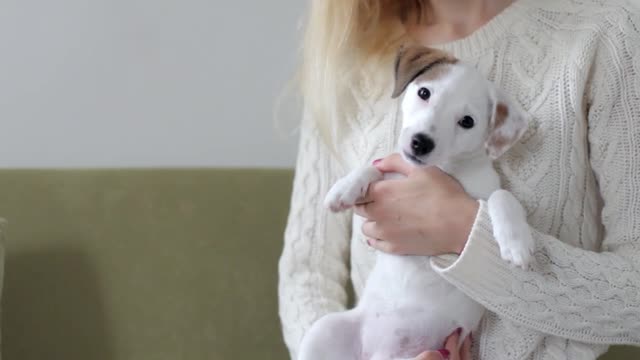 girl with a puppy in her arms at home