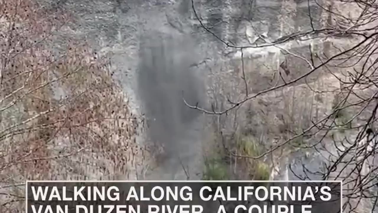 California cliff colapse