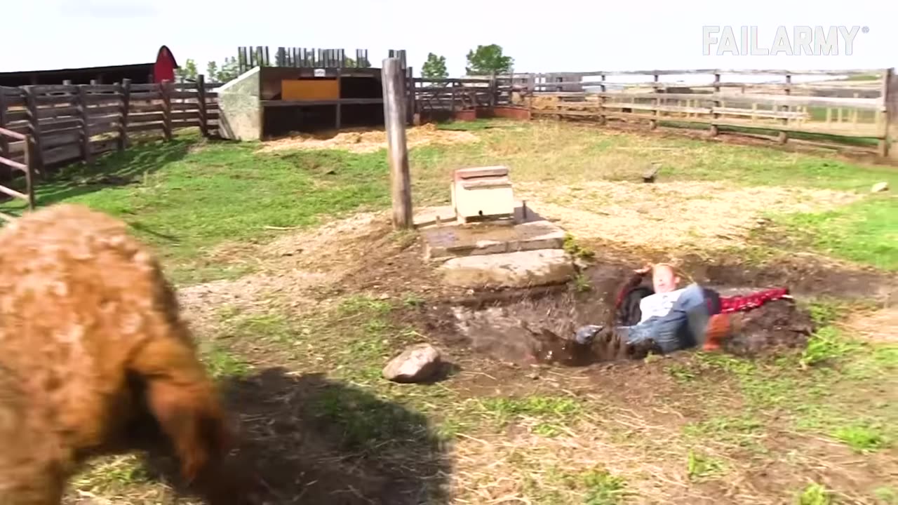 People Vs Animals- Funny Animal Fails Compilation