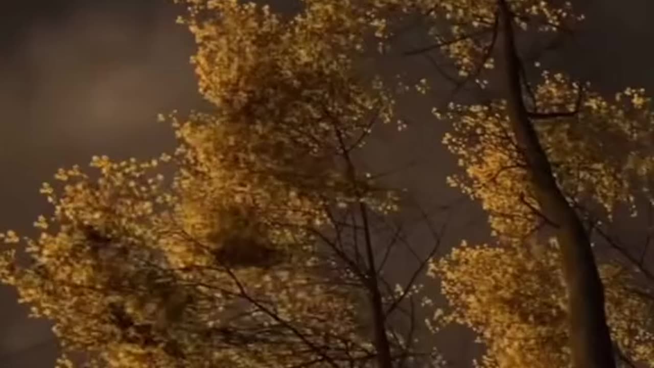 As