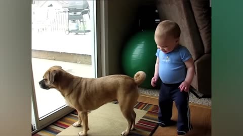 Funny Babies Playing with Dogs Compilation