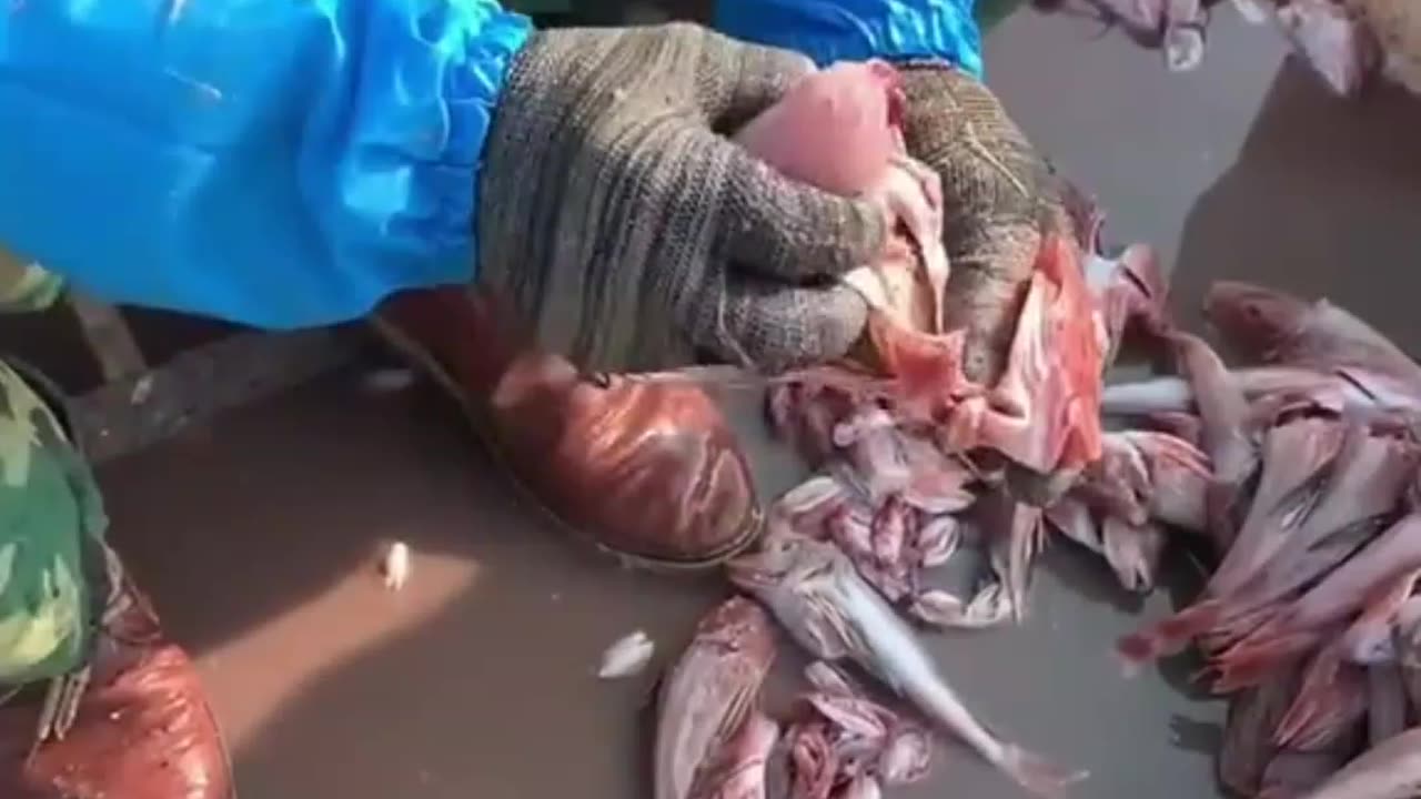 Amazing Fish Cutting Skills Compilation 😄