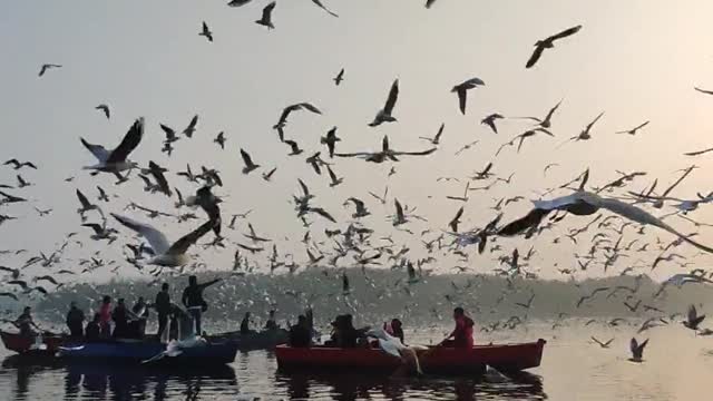 Picturesque nature with sea