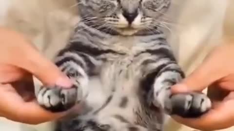 Do you think you can dance 😹😹. The face= "omg here we go again"