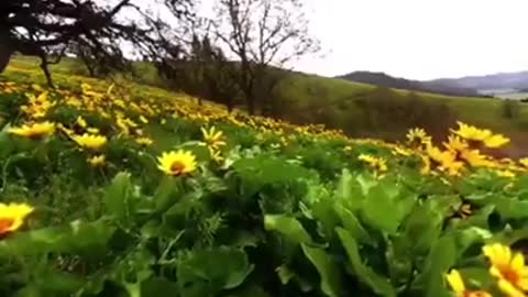 Time with God - December 28