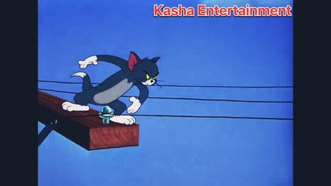 Tom and Jerry entertainment with dog