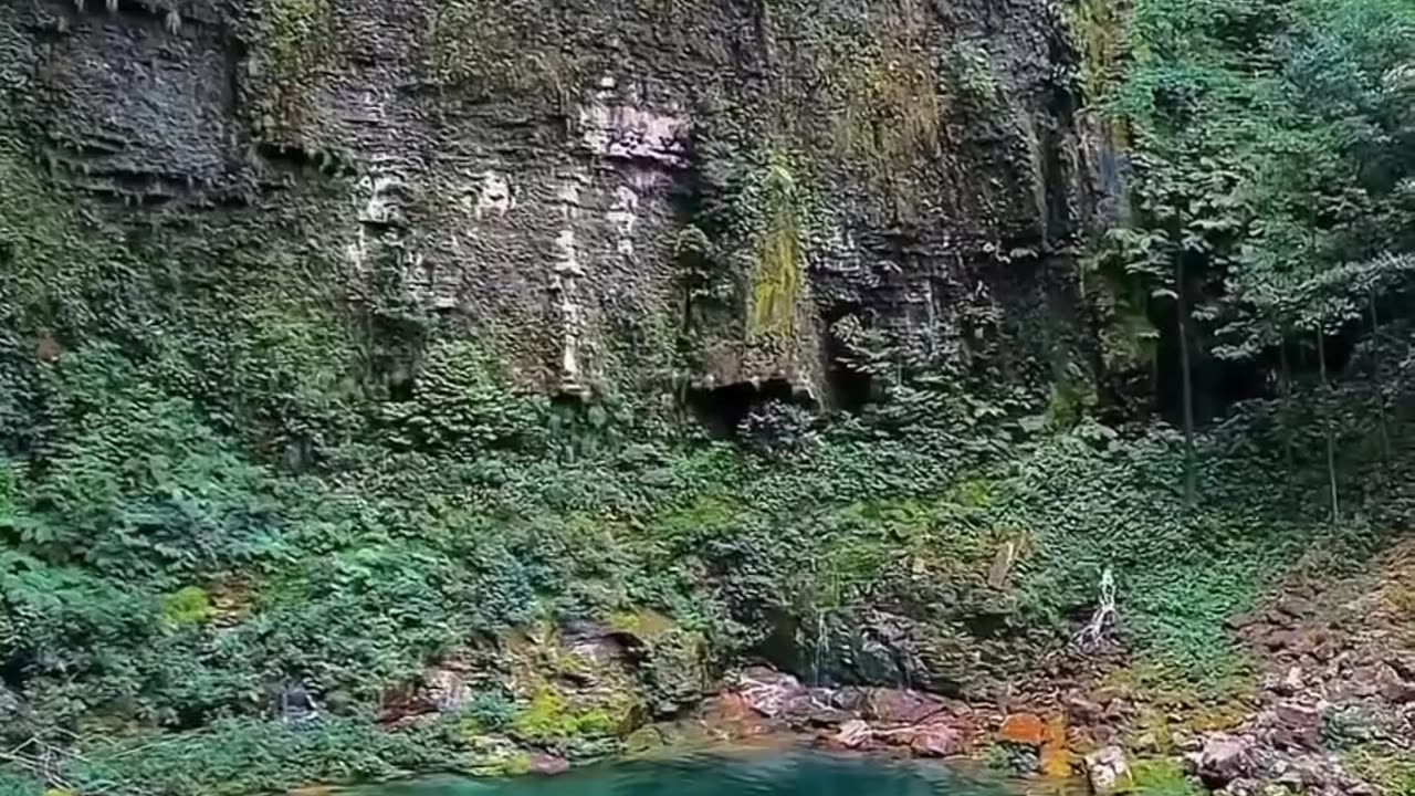 Santuário das Araras, Brasil 📍 🇧🇷 One of The World's Remaining Hidden Gems 😍