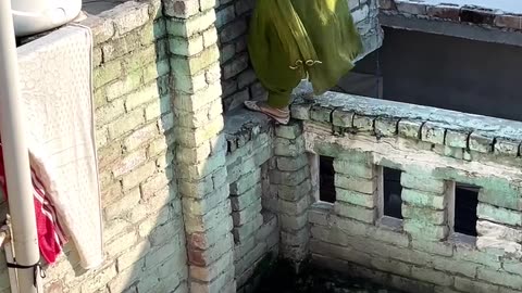 Funny videos | hot girl video