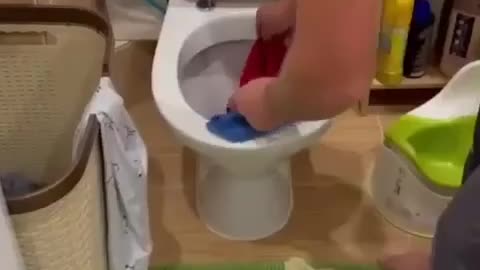 the cat climbed out of the toilet. how did she get?