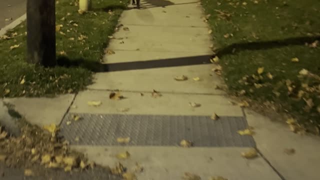 Early walk
