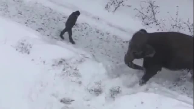 A typical day in Russia