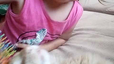 taking care of the cat. daughter scratches a cat.