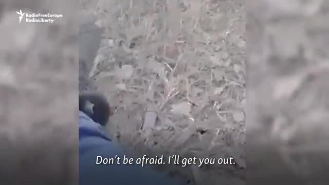'Dad, please don't die!': A harrowing video has emerged from Ukraine