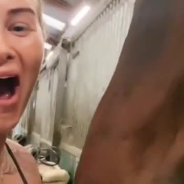 🤣 Mmm ... Pervert Horse 🤣 #shorts #tiktok