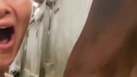 🤣 Mmm ... Pervert Horse 🤣 #shorts #tiktok