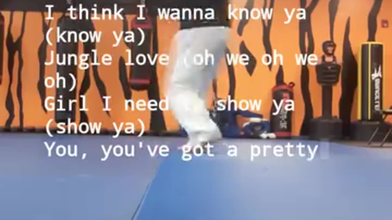 Tong Hap Kwan Hapkido Kicking Techniques