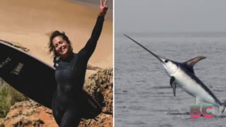 Surfer dies after reportedly being impaled by swordfish