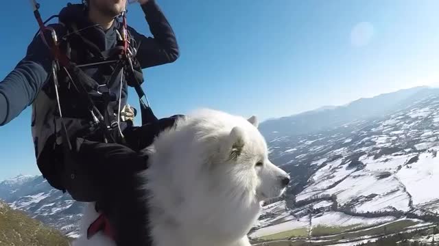 Parachuting with my dog😍