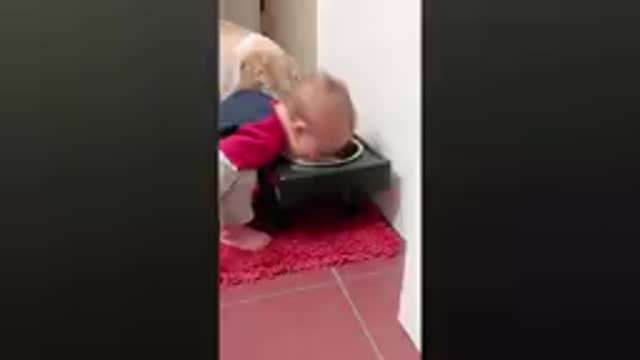 #funnybaby #babyanddog Cute Babies Playing With Dogs Compilation | Funny Baby And Pets