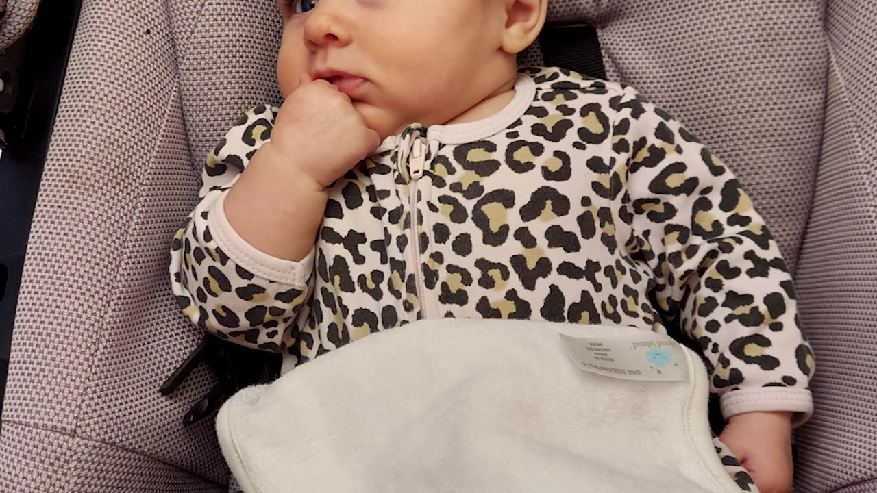 Nugget's First Birthday