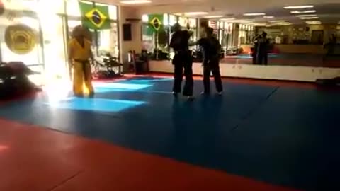 Hapkido