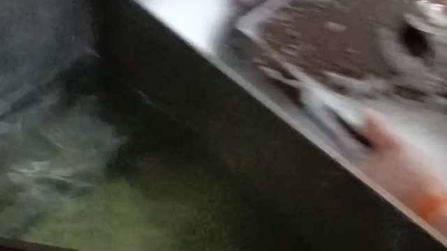 Army sea battle