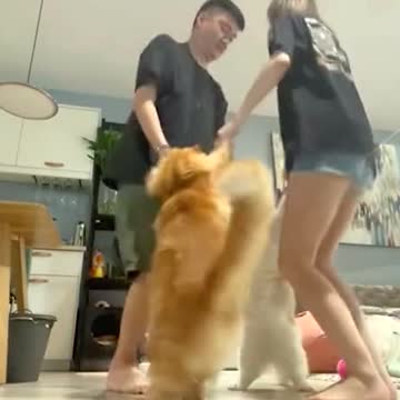 Come on! Let's dance now