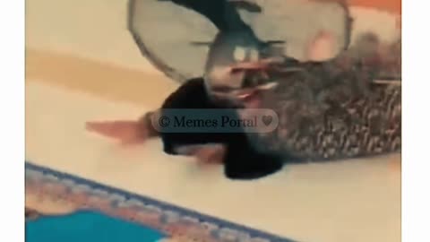 Funny Video | Trending Funny Video | Funny Shorts | Funny Videos