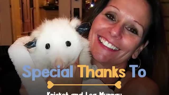 Woman's Soulmate Is A Possum - KRICKET | The Dodo Soulmates