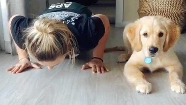 Pup Does Push-ups with His Person