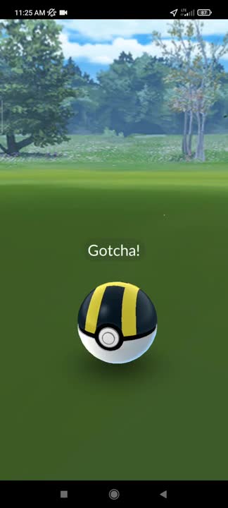 Pokémon GO-Dawn Hat Turtwig