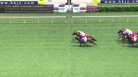 Horse_Race_2022052902_Chinese