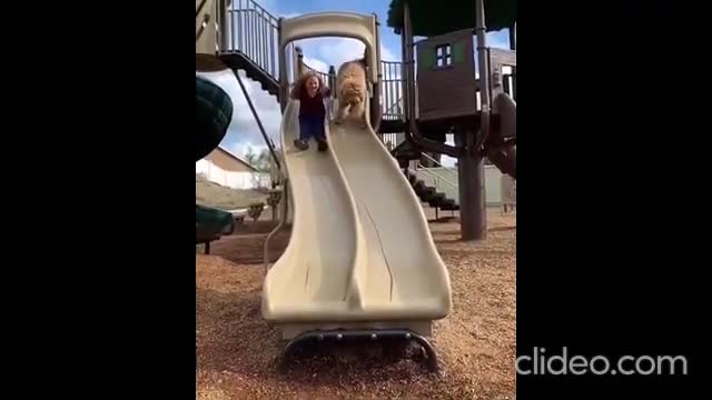 Wow Nice Pranks Dog!!! Funny Dogs Videos Compilation - Try To Stop Laugh Challenge Pranks Dog 2021