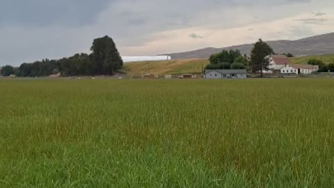 Welcome to our Future Farm