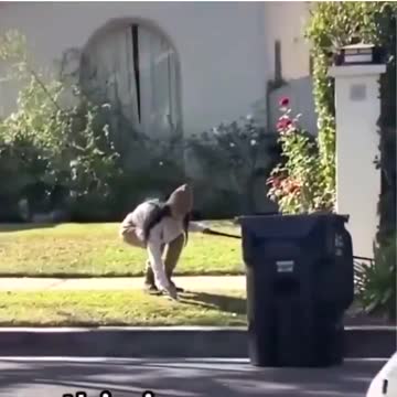 Dog day afternoon facemask