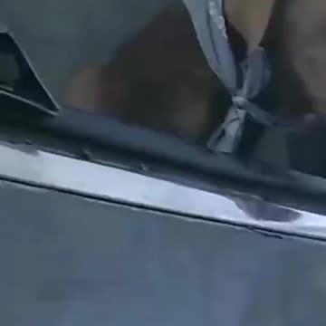 OFFICER SAVE A DOG FROM A BURNING VEHICLE