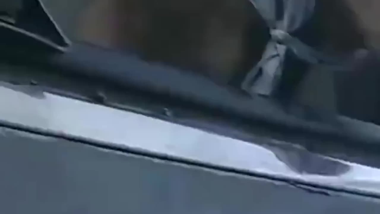 OFFICER SAVE A DOG FROM A BURNING VEHICLE