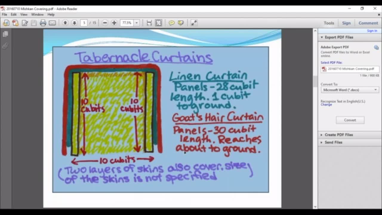 Tabernacle Skins or Mishkan