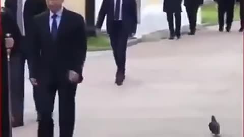 True leader , Vladimir Putin... 🕊️ 🫡