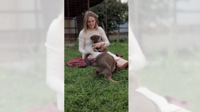 video of a girl playing with a cute puppy