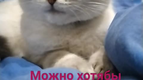 можно