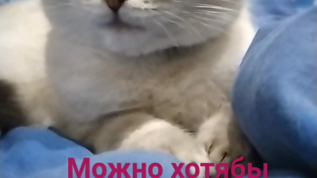 можно