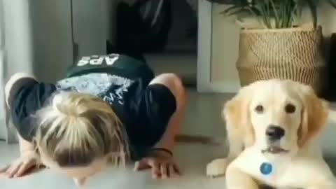 Imitative yoga dog